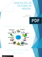 ANALISIS DE LOS FACTORES DE RIESGOS