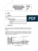 Guia 6 Resalto Hidráulico