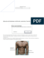 Músculos Del Abdomen - Definición, Anatomía, Función, Dolor y Mucho Más