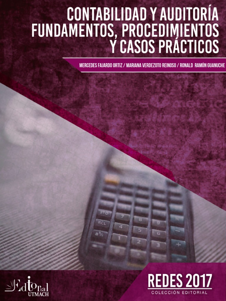 Cap.7 El Proceso de La Auditoría Financiera La Ejecución | PDF ...