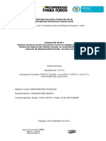 Formarto Informe Municipio - Mensual (1) Pastoral