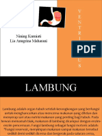 Biologi - Lambung