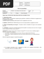 Actividades de Fotosíntesis para Niños | PDF | Métodos y materiales de ...