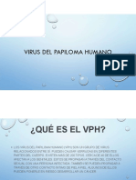 virus del papiloma humano (2)