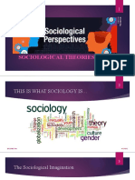 Sociological Perspectives