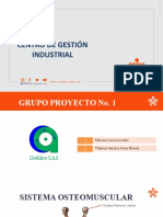 Sistema osteoarticular: huesos, músculos y articulaciones