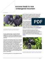 Conservation Success Leads To New Challenges For Endangered Mountain Gorillas