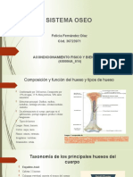 Fase 2 - Felicia Fernandez - G.C.96