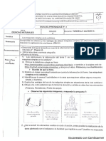 ciencias naturales 