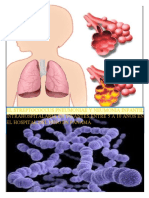 Proyecto Final Microbiología