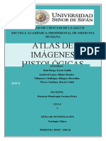 Patologia Atlas Histologico Imagenes