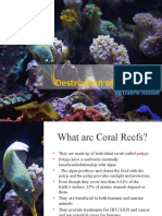 Destruction of Coral Reefs: by Dabria Russell