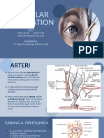 Vascular Circulation - Olga Dan Sena