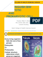 Distinguish BW Eukaryoticand Prokaryotic Cell.