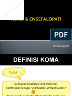 Koma Dan Ensefalopati