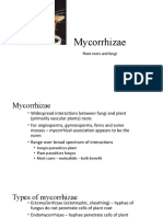Mycorrhizae: Plant Roots and Fungi