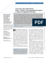 Chapter 10 - Tractographic Description of The Superior Longitudinal Fasciculus