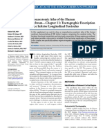 Chapter 11 - Tractographic Description of The Inferior Longitudinal Fasciculus