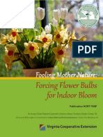 Fooling Mother Nature with Forced Flower Bulbs