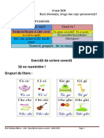 LLR - Exerciții de Scriere Corectă