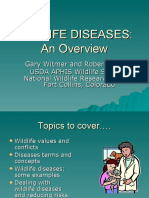 Wildlife Diseases: An Overview