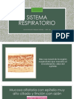 Atlas Sistema Respiratorio - Daniela Vásquez