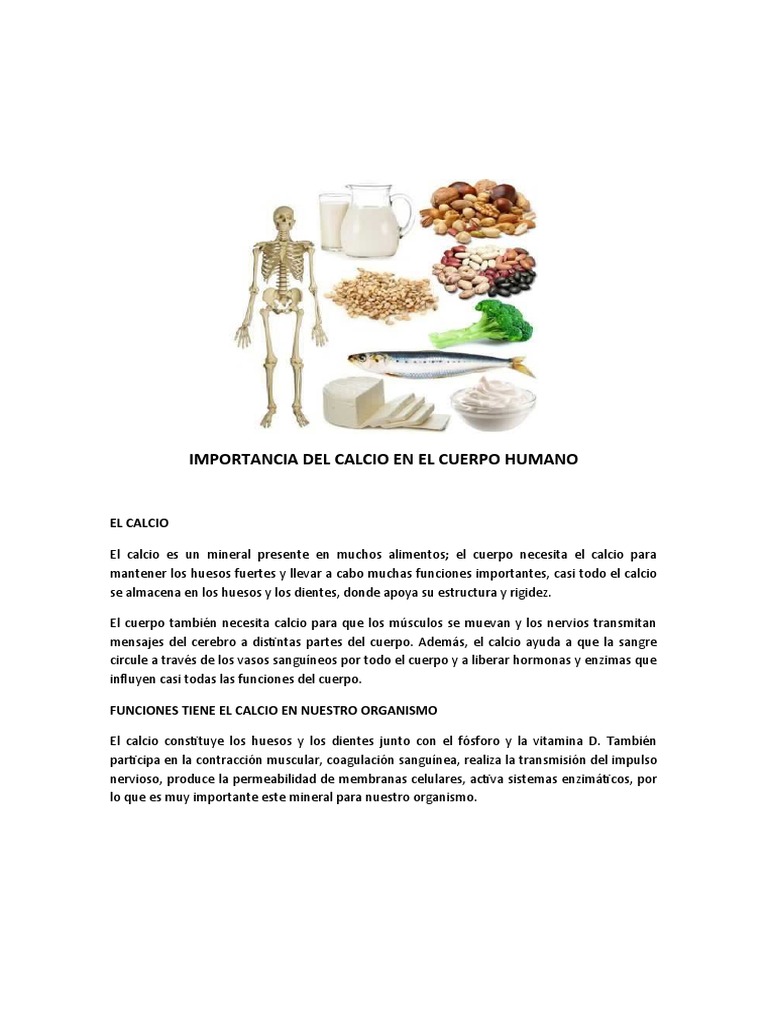 Importancia Del Calcio en El Cuerpo Humano | PDF | Calcio | Hueso
