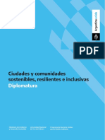 Diplomatura Ciudades Sostenibles Programa