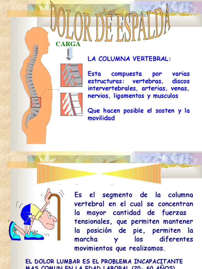 La Higiene Postural | PDF | Dolor lumbar | Anatomía