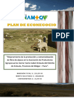 Plan de Econegocio Fibra de Alpaca