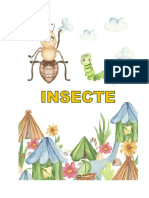 Insect e