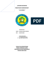 Laporan Biokimia (IV) Patimah Hanum Tanjung 19-004