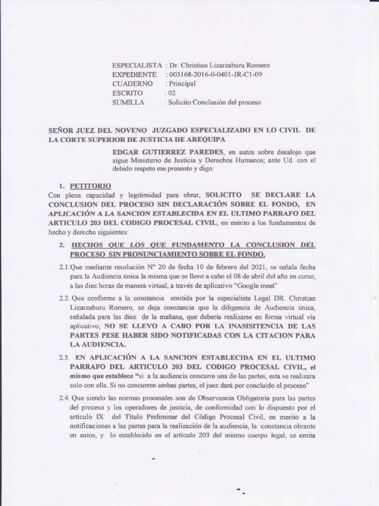 Solicito Conclusion Del Proceso | PDF