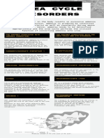 Planea Tu Viaje Guía Moderno Con Rectángulos Negros Con Fondo Blanco Infografía