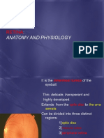 Retina: Anatomy and Physiology