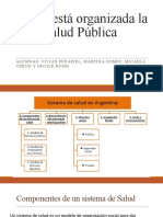 Cómo Está Organizada La Salud Pública