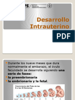 El Desarrollo Intrauterino 1