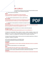 Cuestionario sobre costos de oportunidad y fronteras de posibilidades de producción