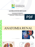 Alteraciones Renales Final