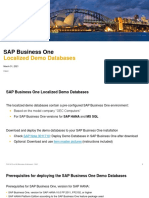 SAP Business One: Localized Demo Databases
