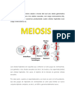 La Meiosis