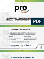 Pro Bolivia Final 2020