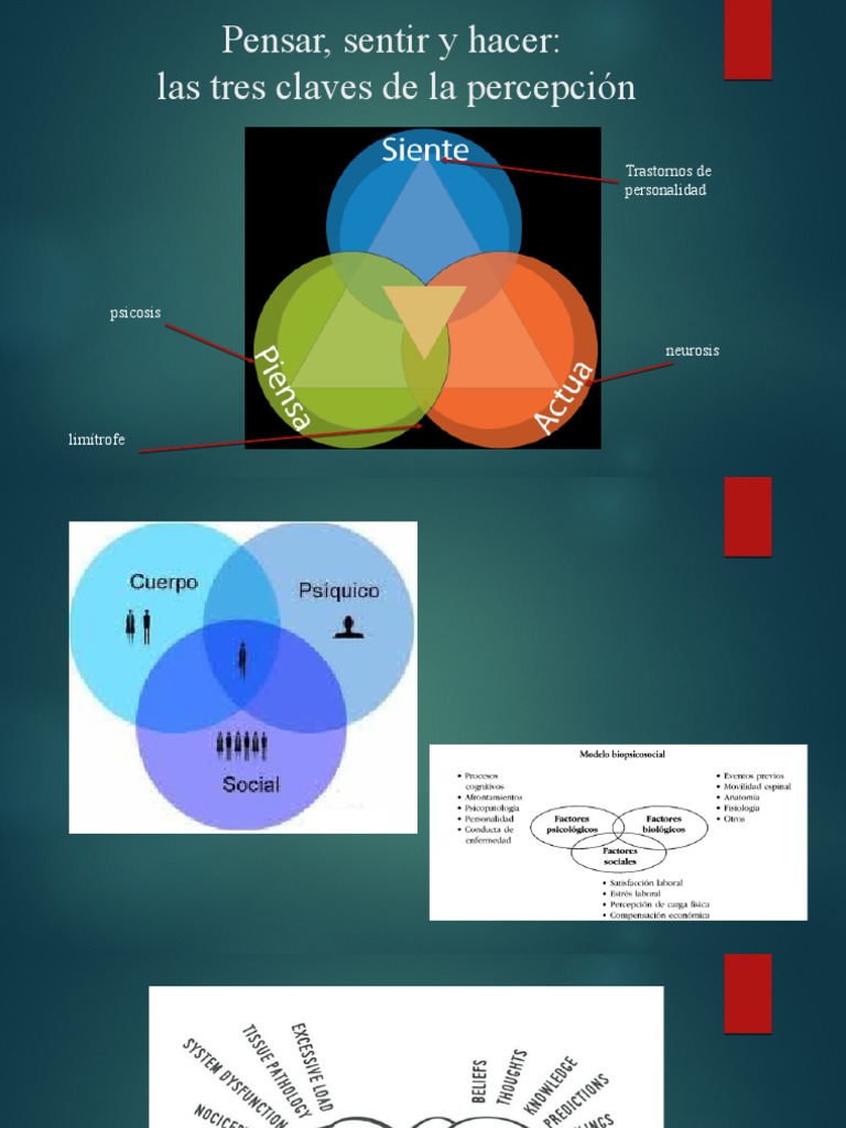 Pensar, Sentir y Hacer | PDF