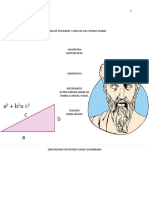 Teorema de Pitagoras y Area de Las Figuras Planas