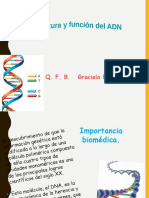 Estructura Del Adn - 2020