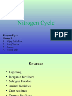 Nitrogen Cycle: Prepared By:-Group B