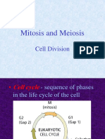 Mitosis & Meiosis.