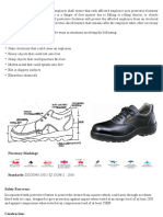 Protective Footwear Standards and Requirements