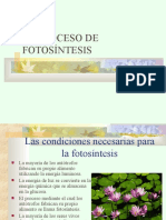 Fotosintesis (1)
