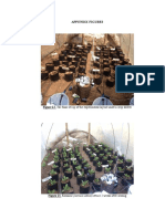 Appendix Figures: Figure 12. The Final Set-Up of The Experimental Layout Under A Crop Shelter